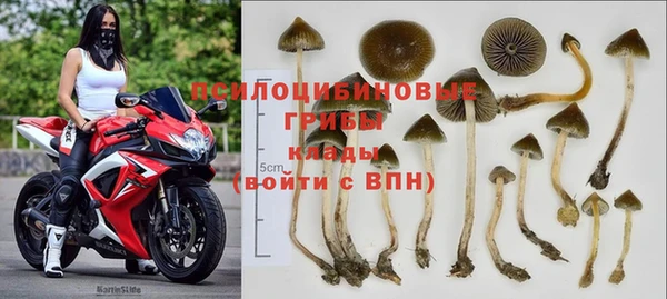 мет Арсеньев